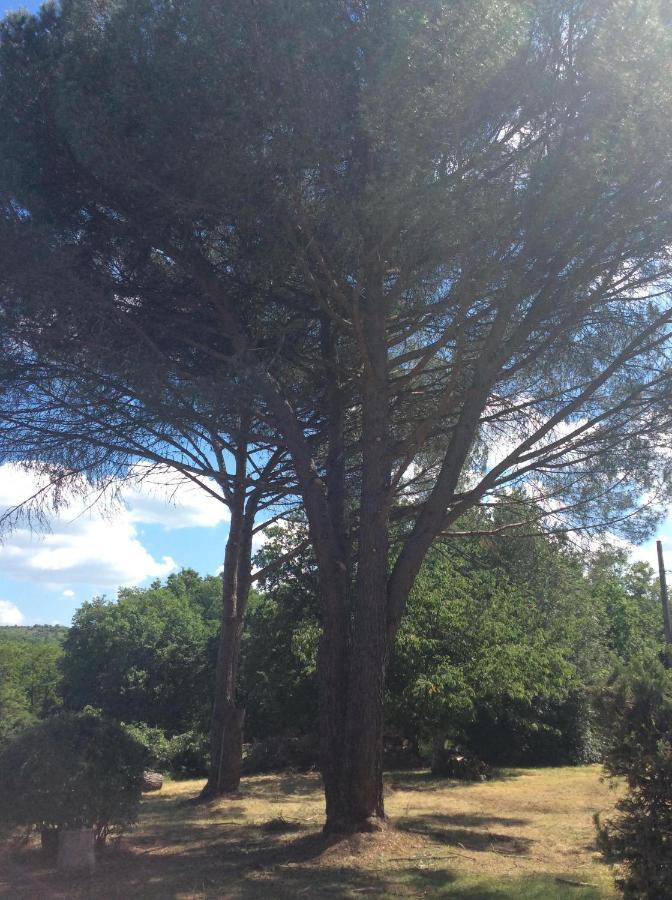 קאור Le Jardin Du Moustoulac Chambres D'Hotes מראה חיצוני תמונה