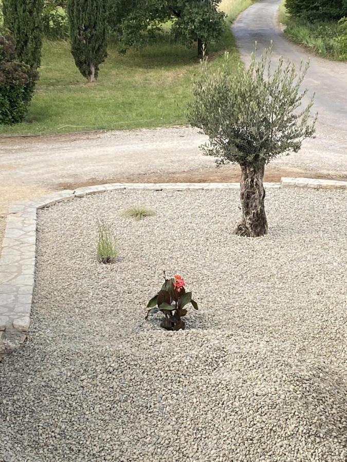 קאור Le Jardin Du Moustoulac Chambres D'Hotes מראה חיצוני תמונה